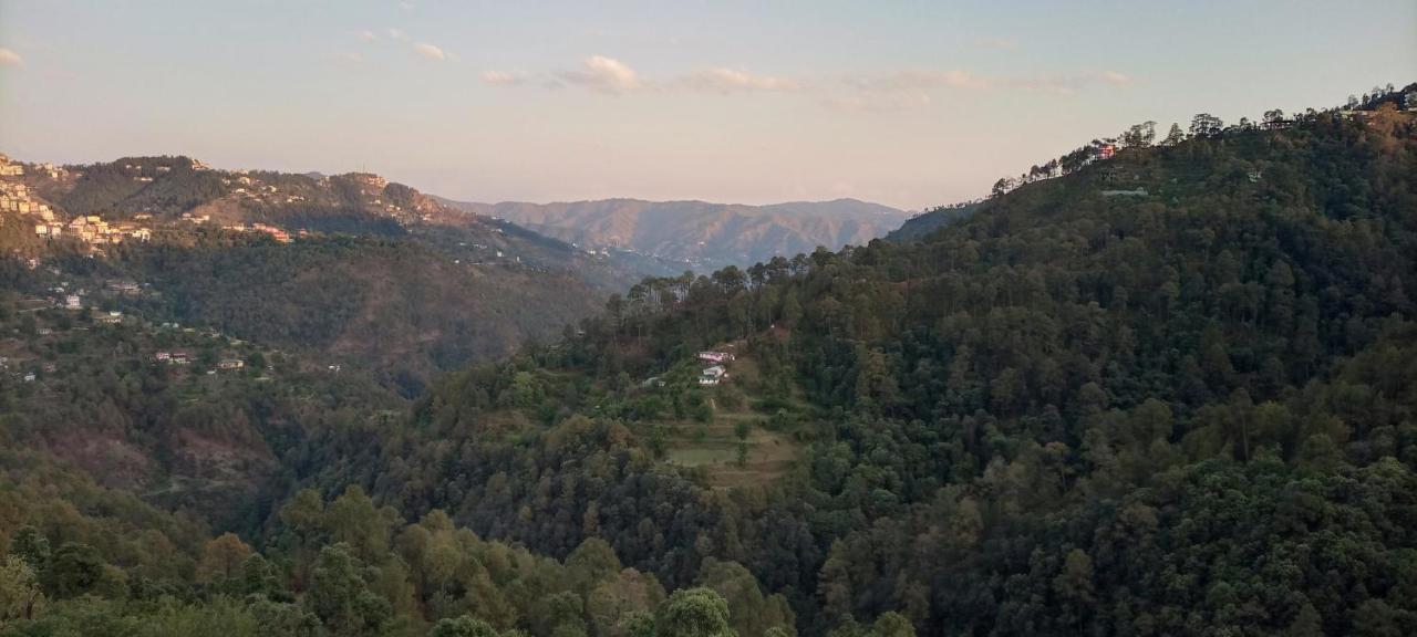 Thakur Homes- Couple And Family Friendly Homestay Shimla Exterior photo