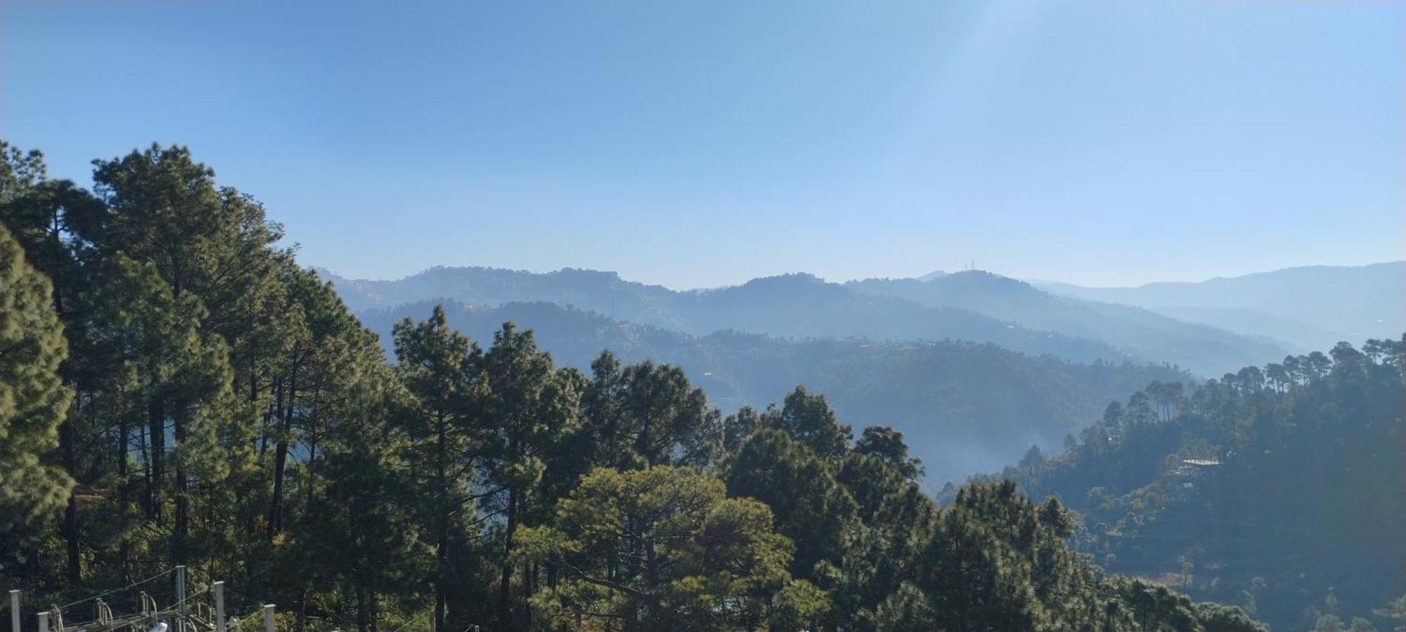 Thakur Homes- Couple And Family Friendly Homestay Shimla Exterior photo