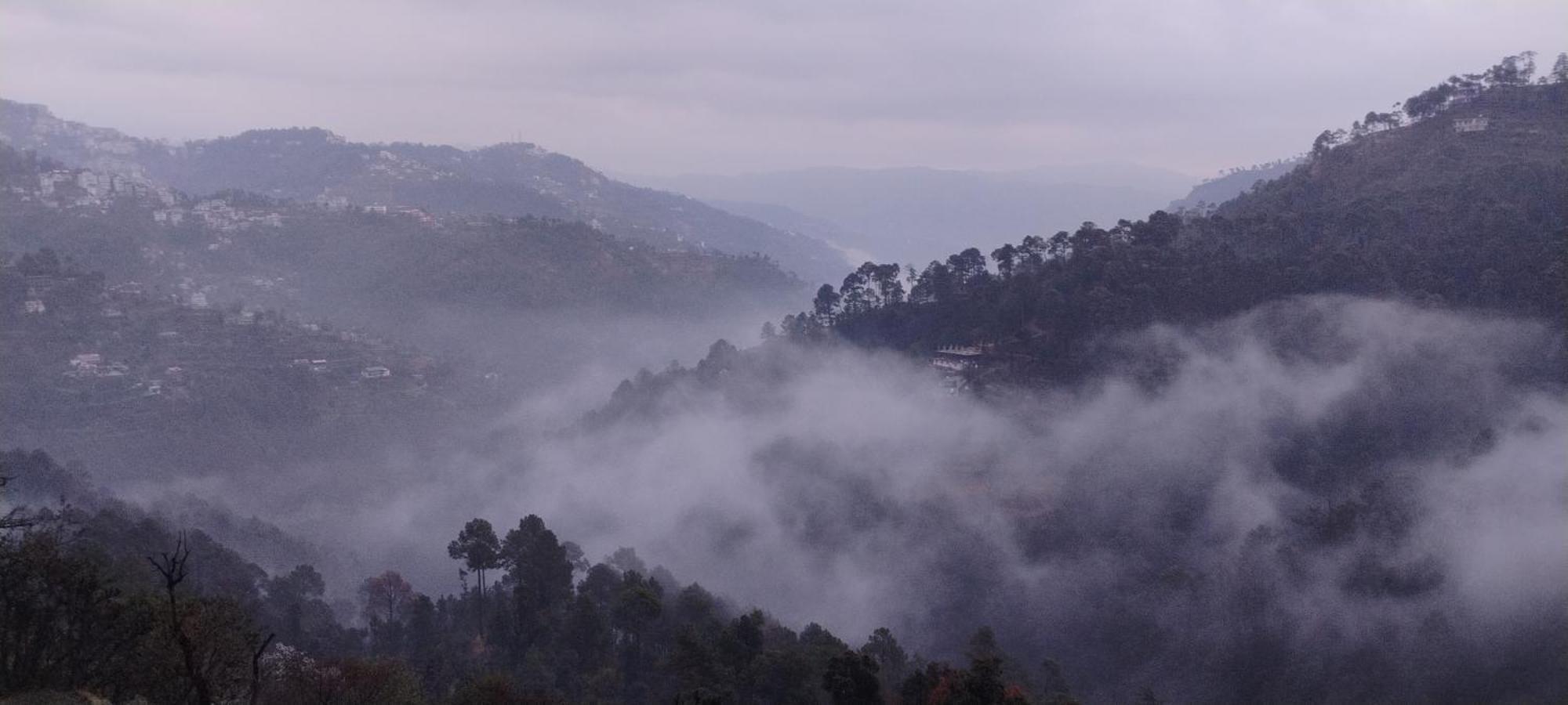 Thakur Homes- Couple And Family Friendly Homestay Shimla Exterior photo
